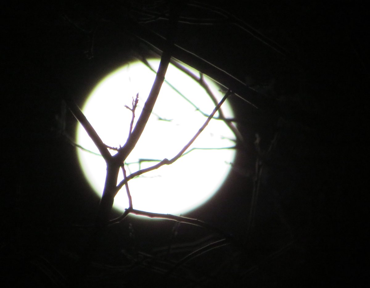 Juan Manuel Portillo